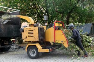 Cutting trees machine — Mackay tree removalist in QLD